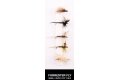 Набор нахлыстовых мушек D.A.M.«Small River Dry Flies»(5 шт)5700012